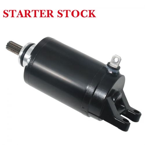 800 XCA XCx XR XRT XRxT1313333 Motorcycle Start Motor Electrical Starter Engine Starter Motor for Triumph Tigerpicture3