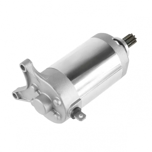 XV250/VIRAGO 250 SRV 250 XV 125 XVS 1252UJ-81800-03-00 2UJ-81890-00-00 18768 Starter Motor for YAMAHA