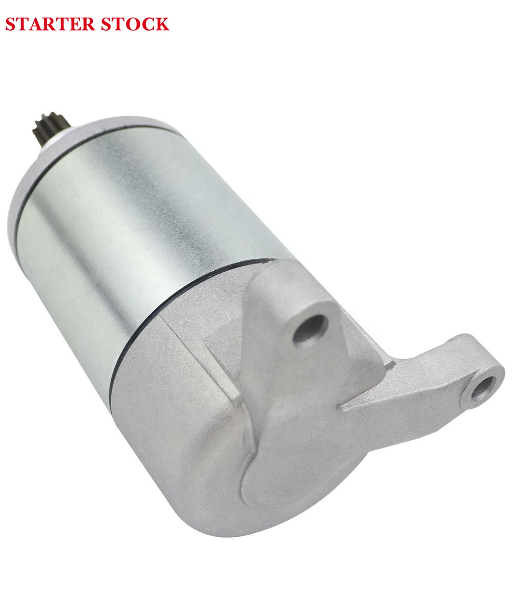2004-2009, 31100-02C10 18808, Ozark 250 StarterStarter Motor for Suzuki Ozark 250 LT-F250 2002-2014, QuadSport 250 LT-Z250
