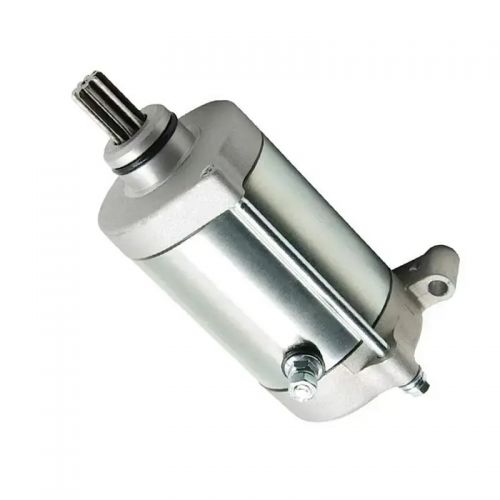 Kodiak/Grizzly 400 450 Motorcycle ATV YFM600/6604WV-81800-00-00 4WV-81890-00-00 5KM-81890-00-00 Starter Motor for Yamaha