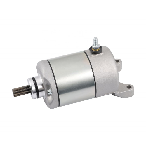 1993-2012, 4GY-81800-02-00 4GY-81890-00-00 18762Starter Motor for Yamaha TTR250 TT-R250 TT250R