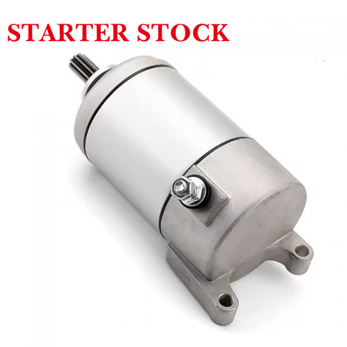 YFM350 BA FX FA YZF600 R RX400 Grizzly3HE-81800-00-00 3HE-81890-00-00 Motorcycle Starter Motor for YAMAHA ATVpicture5