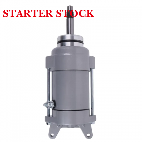 Motorcycle Virago XV700 XV750 XV1000 XV1100 981cc18334 18737 12V Starter Motor 5A8-81800-10-00 SMU0169 for Yamahapicture4