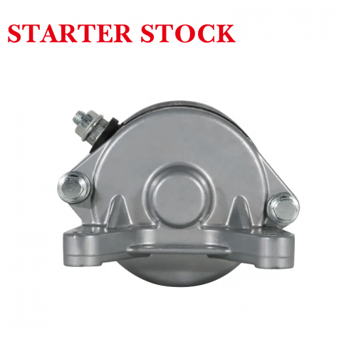 XVS1100 XVS1100A Drag Star 110018748 5EL-81890-00 5EL-81890-01 5JN-81890-01 Motorcycle Electrical Starter Motor for Yamahapicture4