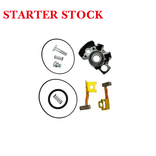 250 300 XC TPI XC-W TPI EXC TX300 TE300i TE300 TE250iStarter Motor Brush Set Fit 55440001000 for KTMpicture2
