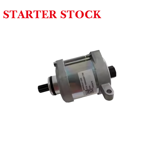 300 TBI 300 ExcMotorcycle Starter Motor A44040201000 for KTMpicture5
