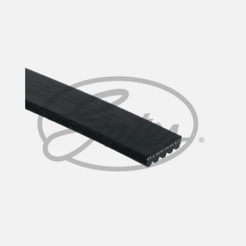 Gates 5PK493 V-Ribbed Belt for Audi,Seat,Skoda,VW-show original title