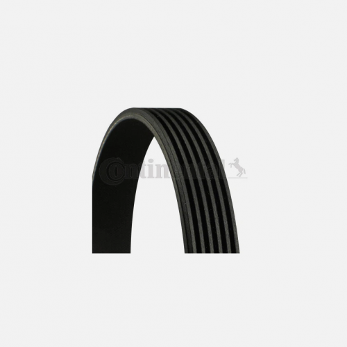Cinturón de costillas V Continental CTAM 6PK2196 para Citroën, Ford, Jaguar, Jeep, Lexus y Mercedes-