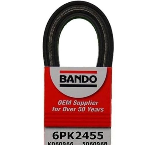 Cinta serpenteada de calidad OEM Bando USA 6PK2455