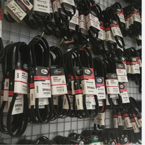 1 pieza de cinturón de seguridad para automóvil, modelos 5PK2170, 5PK2200, 5PK2210 y 5PK2230
