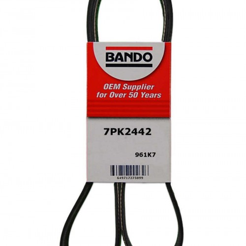Cinta dentada – Bando – Bando 7PK2442, de calidad OEM. Cinta dentada con 7 nervaduras; medida de 2442 mm o 96,1 pulgadas (Número de pieza: 7PK2442)