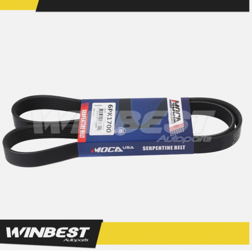 EPDM Serpentine Belt 6PK1700 for Chevrolet Dodge Hyundai Pontiac Volkswagen Benz