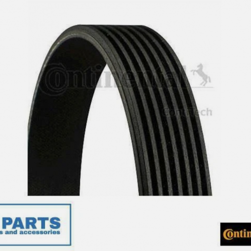 V-Ribbed Belts for DACIA MERCEDES-BENZ NISSAN CONTINENTAL CTAM 7PK1570