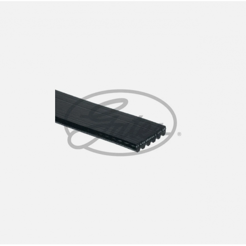 GATES 6PK2550 V-Ribbed Belt for DODGE,FORD USA,HYUNDAI,JEEP,KIA,LINCOLN,SAAB-