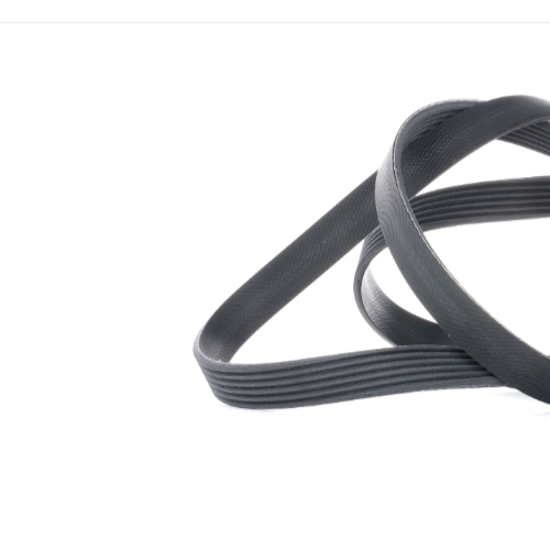 CONTITECH 6PK1564 Serpentine belt