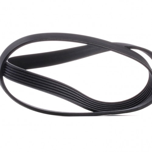 CONTITECH 6PK1205 Cinta serpenteada