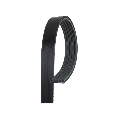 Cinta de correa serpenteada Bando USA 5PK1510