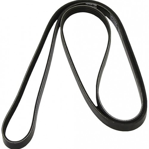 Dayco 4PK1770 Poly Rib Belt