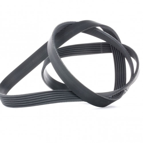 CONTITECH 6PK1564 Serpentine belt 1564mm, 6