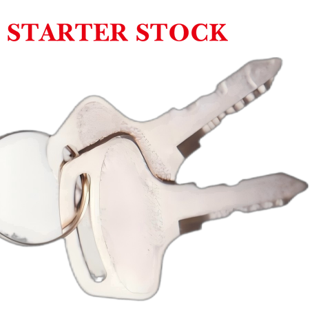 2 PCS 55150 37410-55150 Cast Iron Ignition Switch Replacement Key for BX1500 BX1800 BX1830 Tractor Agricultural Machinery