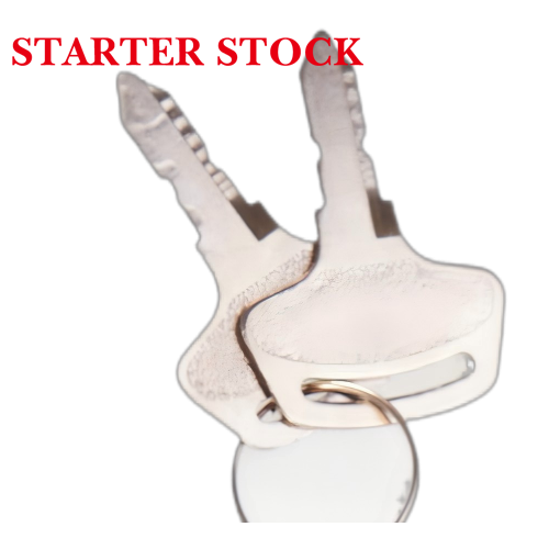2 PCS 55150 37410-55150 Cast Iron Ignition Switch Replacement Key for BX1500 BX1800 BX1830 Tractor Agricultural Machinerypicture2