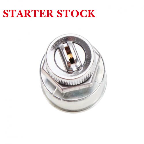 New OEM 2-Terminal Ignition Switch Key with 1 Year Warranty for Golf Model 18602G1 17134-G1 17421G1picture3