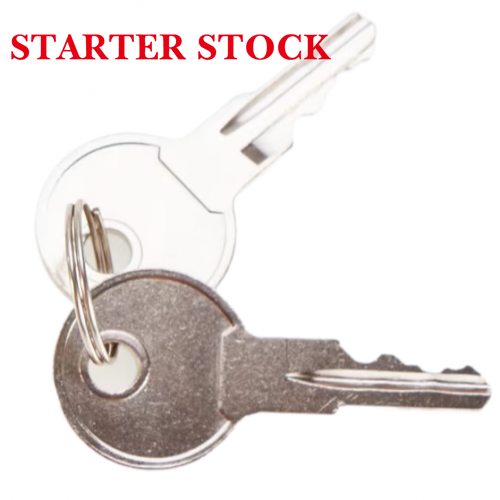 New OEM 2-Terminal Ignition Switch Key with 1 Year Warranty for Golf Model 18602G1 17134-G1 17421G1picture4