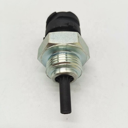 462936 0125421017 A0125421017 Temperature Sensor for Mecedes Benz Truck Actros Antos Atego