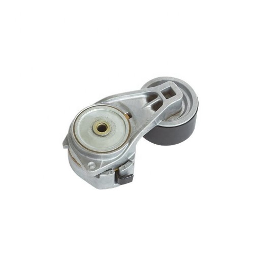 1779751 1870552 2191990 2197390 Timing Belt Tensioner Pulley for SCANIA Truck