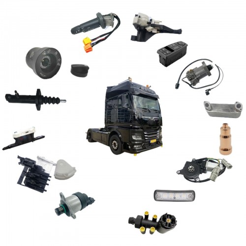OEM Standard Quality More Than 2000 Items European Truck Parts for MAN Tgx Tgs Tgm Tgl Tga F2000