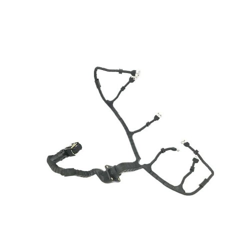 Truck Parts Fuel Injector Wiring Cable Harness 51254136417 51254136256 for MAN Neoplan Tga Tgl Tgm Tgs Tgx