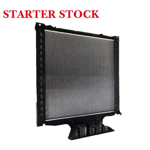 High Quality 550kw TGA Radiator Truck Spare Part Accessories New Condition for Menpicture2