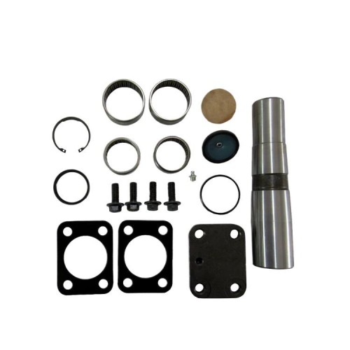 Large in Stock Truck Parts 1904698 2992185 Ivec Truck Kingpin Repair Kit Part Spare New Condition