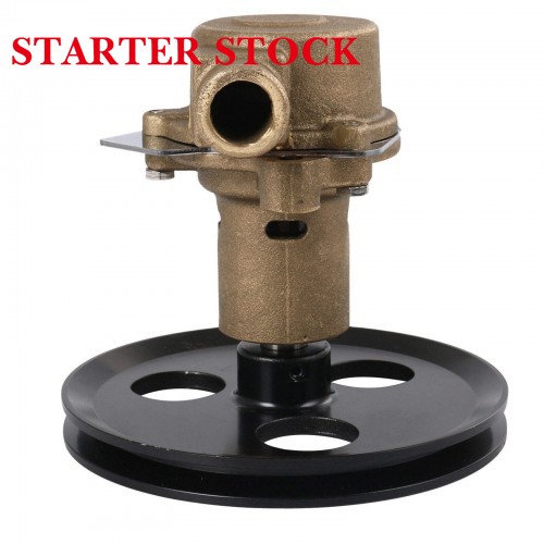 18830-0010 RA057007 Raw Sea Impeller Water Pumppicture4