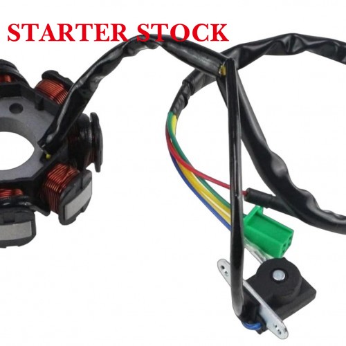 Magneto Stator Coil for AKT NKD 125picture4