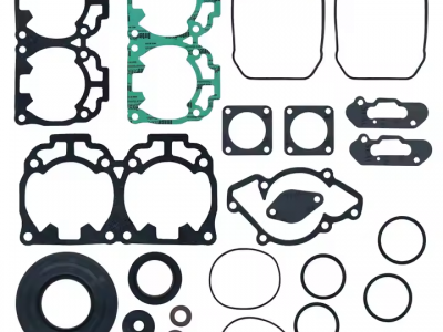 Gasket Set with Oil Seal for Ski-Doo GSX LE E-TEC 600 HO 2012-2013picture2