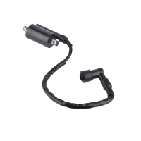 Ignition Coil 24 519 02 S For KOHLER CH26 CH735 CH745 CV26 CV7456 LH77526 CH735 CH745 CV26 CV7456 LH775