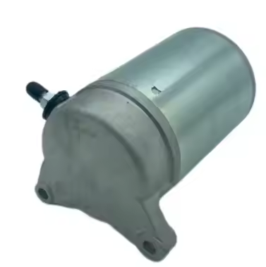 Starter Motor for Outlander 650 800 (06–11), Ski Sled V800 Series Expedition Legend