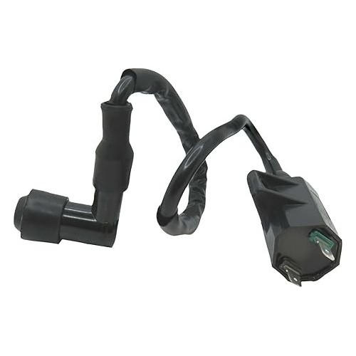 Ignition Coil for Kawasaki KLF 220 Bayou 1988–2002 | Motorcycle ATV UTV Snowmobile | 21121-1160 / 21121-1198
