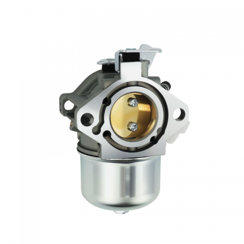 698171 692684 Carburetor For Briggs & Stratton 497581 495778 494883 495782 494894 495784 494881 697594 257707-0124 257707-0127 257702-0130 257702-4001picture2