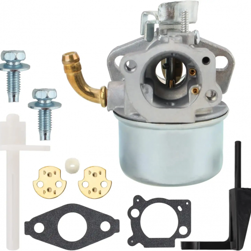 698475 Carburetor Replacement for Briggs Stratton 591299 693751 693518 591925 690046 698479 791991 798650 5.5hp 6.5hp Engine