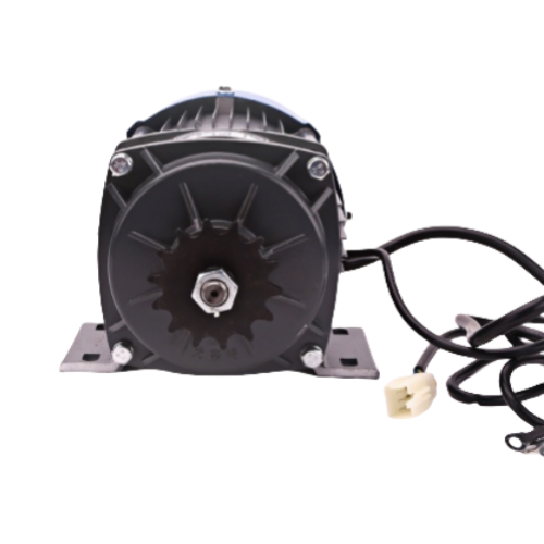 BLDC Permanent Magnet DC Geared Brushless Motor BM1418WZX 350W 36V For Electric Tricycle Farm Machinery