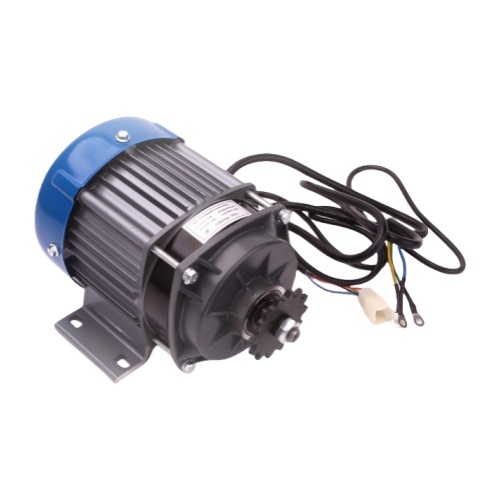 BLDC Permanent Magnet DC Geared Brushless Motor BM1418WZX 350W 36V For Electric Tricycle Farm Machinerypicture2