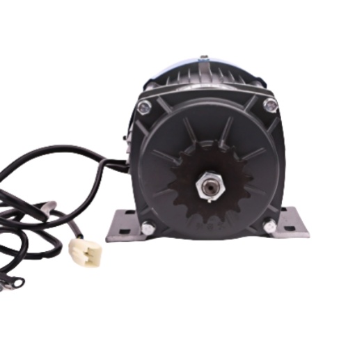 BM1418WZX BLDC Permanent Magnet DC Geared Brushless Motor 350W 48V For Electric Tricycle Farm Machinerypicture3