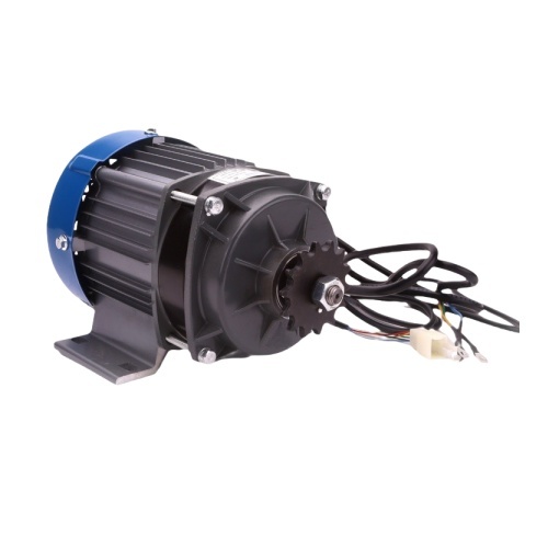BLDC electric tricycle DC gearbox brushless motor 650W 60V permanent magnet brushless DC motor BM1418WZX