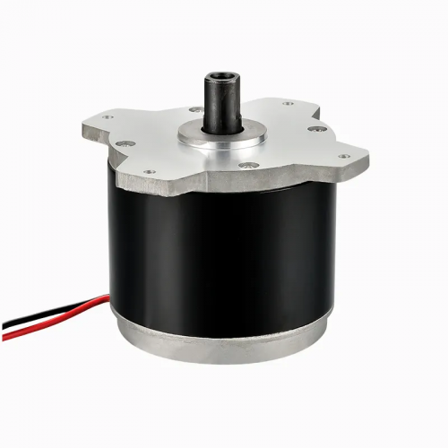 350W 36V Brushed DC Motor Permanent Magnet Waterproof for Electric Vehicle Mechanical Equipment for Lawn Mower Motorpicture2