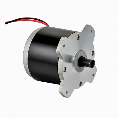 350W 36V Brushed DC Motor Permanent Magnet Waterproof for Electric Vehicle Mechanical Equipment for Lawn Mower Motor