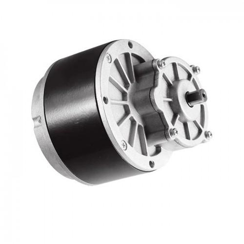 24V Storage Car Motor 450W ZD109AZ5