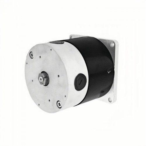 24V MY11524/ZD116A1 Scooter Brush Motor 400W