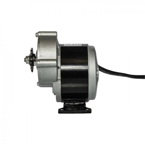 36V 250W ZD101AZ /MY1016Z 24v Brush Motorpicture2